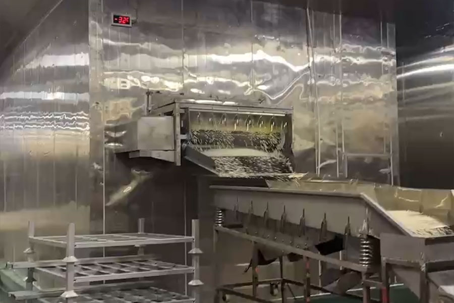 福建省一家食品公司正在开发快速冷冻隧道项目。